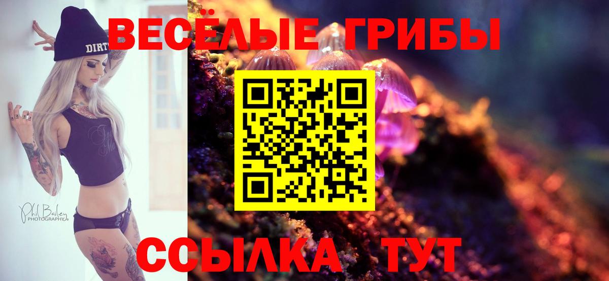 Псилоцибиновые грибы мухоморы  Псилоцибиновые грибы мицелий  Ступино  закладка  Вход с VPN 